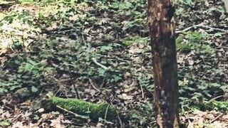 Mature Milf Looking for a stranger in the woods to suck and jerk him off thoroughly until he cums in my mouth - 12 image