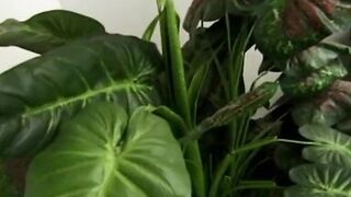 They think they are masturbating and then ruthlessly