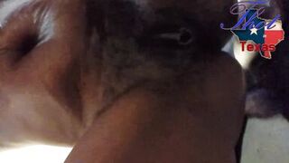 Thot in Texas - Tag Team Fucking on Sexy Ebony Milf