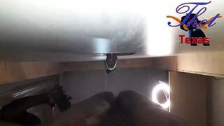 Thot in Texas - Gloryhole Real Amateur BBC Fucking my Wife Hairy Ebony Pussy