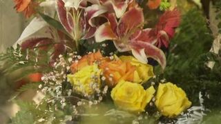 Der sexsuechtige ehemann