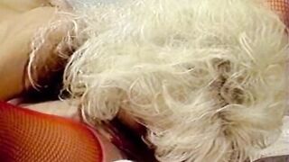 American Golden Age XXX - VOL #02