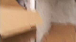 Komm mit in den Keller - Mama zeigt dir wie man fickt