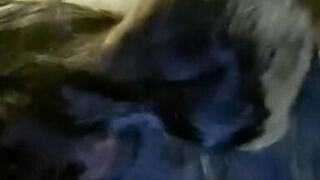 Cougar milf fucks inexperienced 20 year old cock in quarantine!