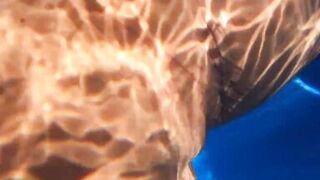 Sexy Joy takes a Creampie in the Pool