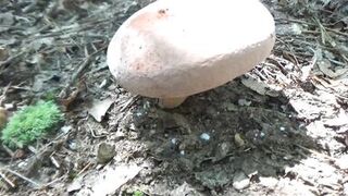 Naked Stream Bathing- no Sex- Outdoor Sexxy Chubby MILF Frangelica PFC Hair