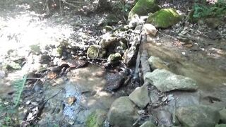 Naked Stream Bathing- no Sex- Outdoor Sexxy Chubby MILF Frangelica PFC Hair