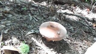 Naked Stream Bathing- no Sex- Outdoor Sexxy Chubby MILF Frangelica PFC Hair - 9 image