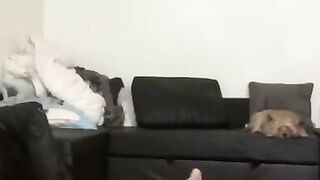 Doing Yoga Naked and at the end Masturbates and Cums on Camera